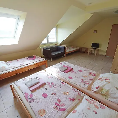 Sport - Relax Buky Frantiskovy Lazne